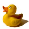 Rubber Duck